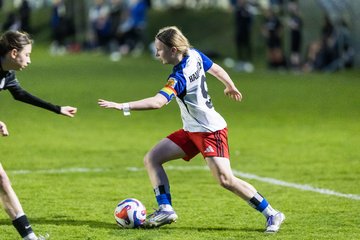 Bild 357 - wBJ Hamburger SV - Eimsbuettler TV : Ergebnis: 4:0